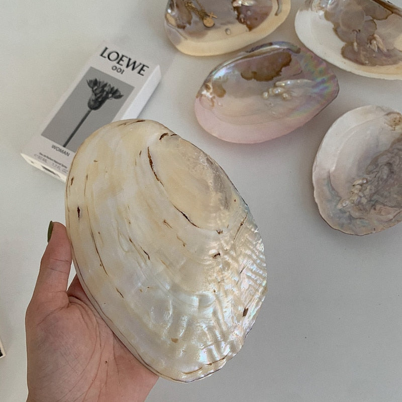 Natural Oyster Shell with Pearl Jewelry Storage Tray