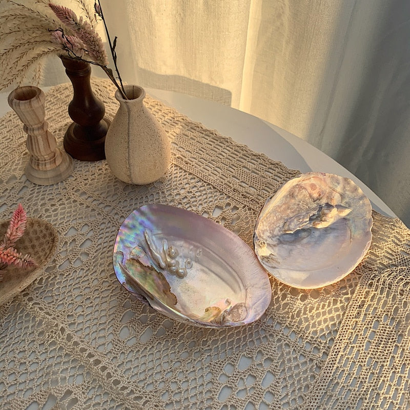 Natural Oyster Shell with Pearl Jewelry Storage Tray
