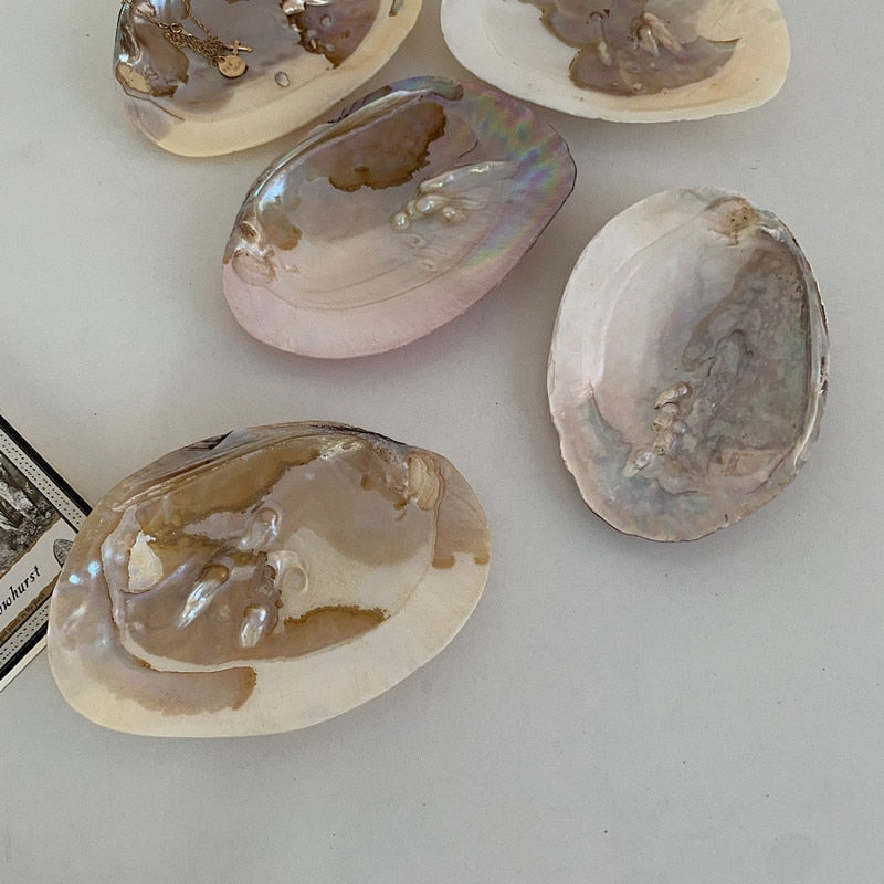 Natural Oyster Shell with Pearl Jewelry Storage Tray
