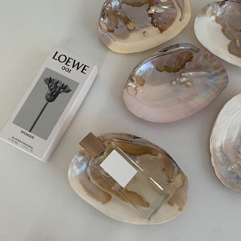 Natural Oyster Shell with Pearl Jewelry Storage Tray